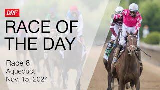 DRF Friday Race of the Day | Aqueduct Race 8 | November 15, 2024