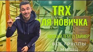 TRX Тренировка ДЛЯ НОВИЧКОВ. На все тело.