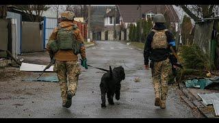 War in Ukraine / 209th day / Belogorodka