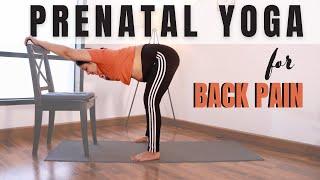 Prenatal Yoga for Back Pain | 15 mins Pregnancy Stretches for Back Pain Relief