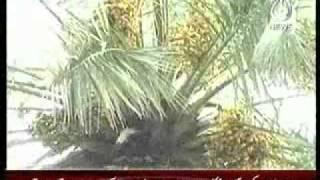 Dates form News Report Jhang Sadar " Aaj News" 1 August, 2011