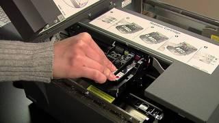 Print Your Own Labels with Primera's LX900 Color Label Printer (HD YouTube Version)