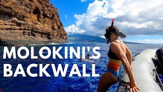 Molokini Crater Snorkeling Tour (plus the famous back wall) | Get to Molokini in 15 Mins