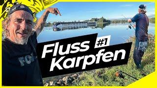 KARPFEN am FLUSS | FISCH nimmt SCHNUR ohne Ende | Karpfenangeln vor den Füßen