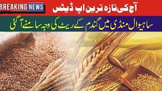 New wheat price in Pakistan|Wheat update today|business ideas Ahsan ayaz559