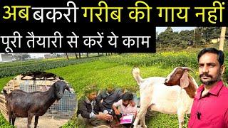 बकरी पालन की तैयारी । Real knowledge for goat farming | goat farming training