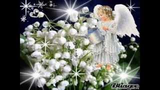 Первые весенние цветы.wmv
