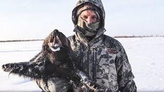 S polem! (Successful Hunt!) Reindeer and Wolverine. Hunting behind the Arctic Circle. Part 2