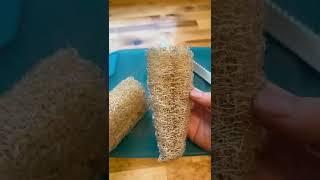 How We Use Luffa Sponges!