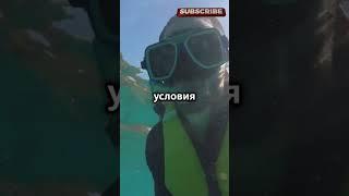 Топ 5 фактов о самом большом озере в мире!БАЙКАЛ! #facts #нарезки #познавательно#ютуб#позновательно