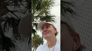 Florida dancing under a palm tree Port Canaveral Cruise Terminal Cruise Brevard County FL USA 2023