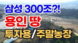 삼성 300조 투자한 용인땅! 주말농장, 캠핑, 투자 가능한 토지!! 미친가격대 문의 010-3391-6663