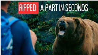 Bear Attack | Two Blood Curdling Bear Stories