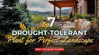 Top 7 Plants Perfect for a Drought-Tolerant Landscape ️