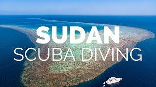 Scuba Diving Port Sudan - Pro Dive Travel With Nadia Aly