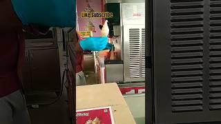 Dmart Ki Sabse Sasti Ice Cream RS.15 only #prasam #trending