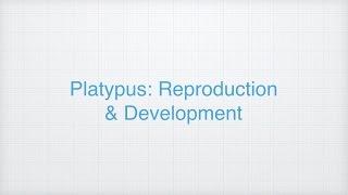 Ep 2: Reproduction and Development