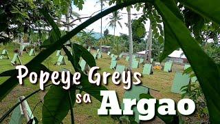 EP373: Popeye Grey's sa Argao