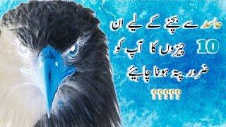 Urdu Quotes | Aqwal e Zareen | Noor Golden Words