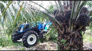 Tractor Agrícola NEW HOLLAND TT4.90 Ecuador en Palma