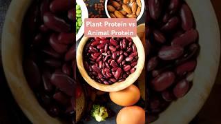 PLANT vs MEAT PROTEIN What's the Best for Building Muscle