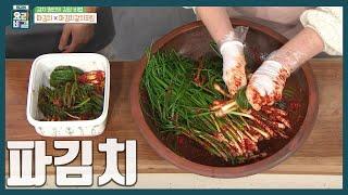 [최요비] 지금 이맘 때 담궈야 더 맛있어요! 여기저기 다 어울리는 궁합 천재⭐️ ''파김치' 만드는 법 | 이하연