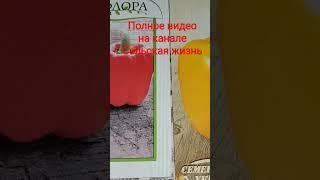 Перец всходи за семь дней #сельскаяжизнь