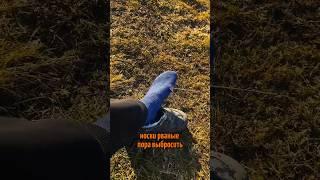 Жить в кайф/трезвость/деревня/природа/гармония/юмор #здоровыйдух #броситькурить #юмор #силадуха #зож