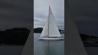 International 8 metre yacht "Pinuccia"... A beautiful classic sailing machine! #shorts