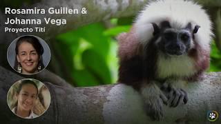 Fall Expo 2018: Cotton-Top Tamarin and Dhole