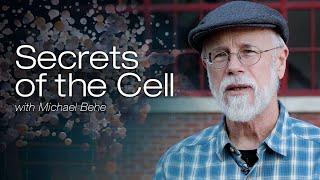 Secrets of the Cell with Michael Behe (Season 1 Compilation)