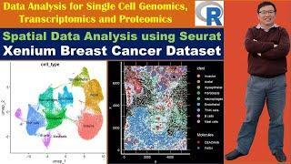 Spatial Data Analysis using Seurat: 10X Genomics Xenium Human Breast Cancer Dataset