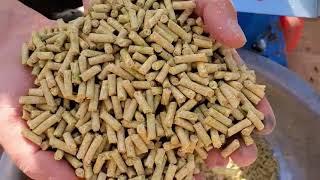 poultry and livestock feed pellet machine for africa market