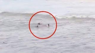 Footage: Three swept away by Qiantang River tide, one dead