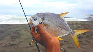 Rangkaian mancing ikan baby pompano