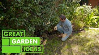 Spring Gardening Tips | GARDEN | Great Home Ideas