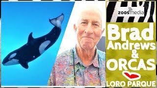 Loro Parque: ORCA expert explains HUSBANDRY & BREEDING  | zoos.media