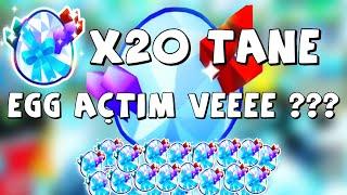 20 TANE EGG12 DEN AÇTIM NELER ÇIKTI? 200B DEĞERİNDE! SHARRDY KRAL Pet Simulator X Roblox