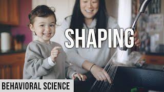 Teaching New Behaviors using Shaping & Applied Behavior Analysis