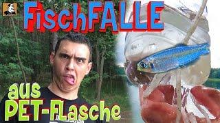 "Survival Mattin" baut aus einer PET-Flasche eine FISCHFALLE fängt Fisch und überlebt nur knapp.