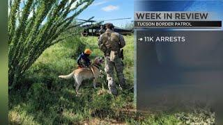 Tucson Border Patrol: Week in review