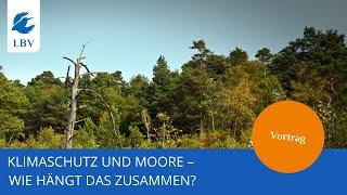 Vortrag: Klimaschutz und Moore – wie hängt das zusammen?