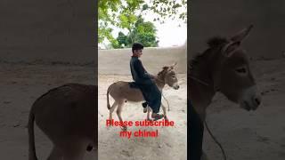 sardar sb khush gawar mood ma.  #viralvideo #shortvideo #pakistanzindabad #balochi #villagelife