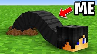 Minecraft but I Become a WORM!