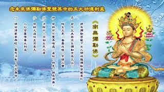 1小時 南無彌勒佛 聖號 高清 1 hour Namo Maitreya Buddha chant male and female voice HD