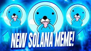 NEW SOLANA MEME I BOUGHT!  ($BONO Crypto Review)