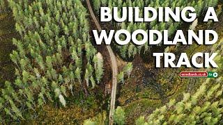 Top 10 Tips for Building Woodland Tracks