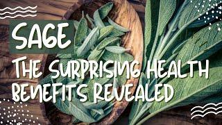 Sage Herb Benefits: The Surprising Health Benefits Revealed