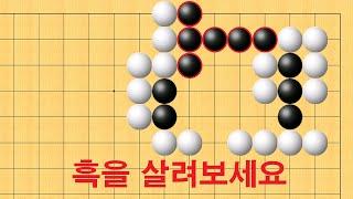 바둑 묘수 사활 - 기가막힌 묘수로 흑을 살려보세요