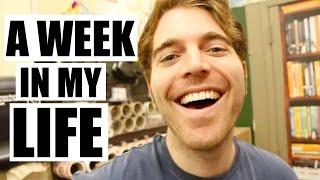 A WEEK IN MY LIFE!